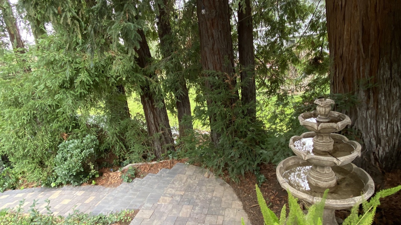 Photo of Outdoor in Arden-Arcade