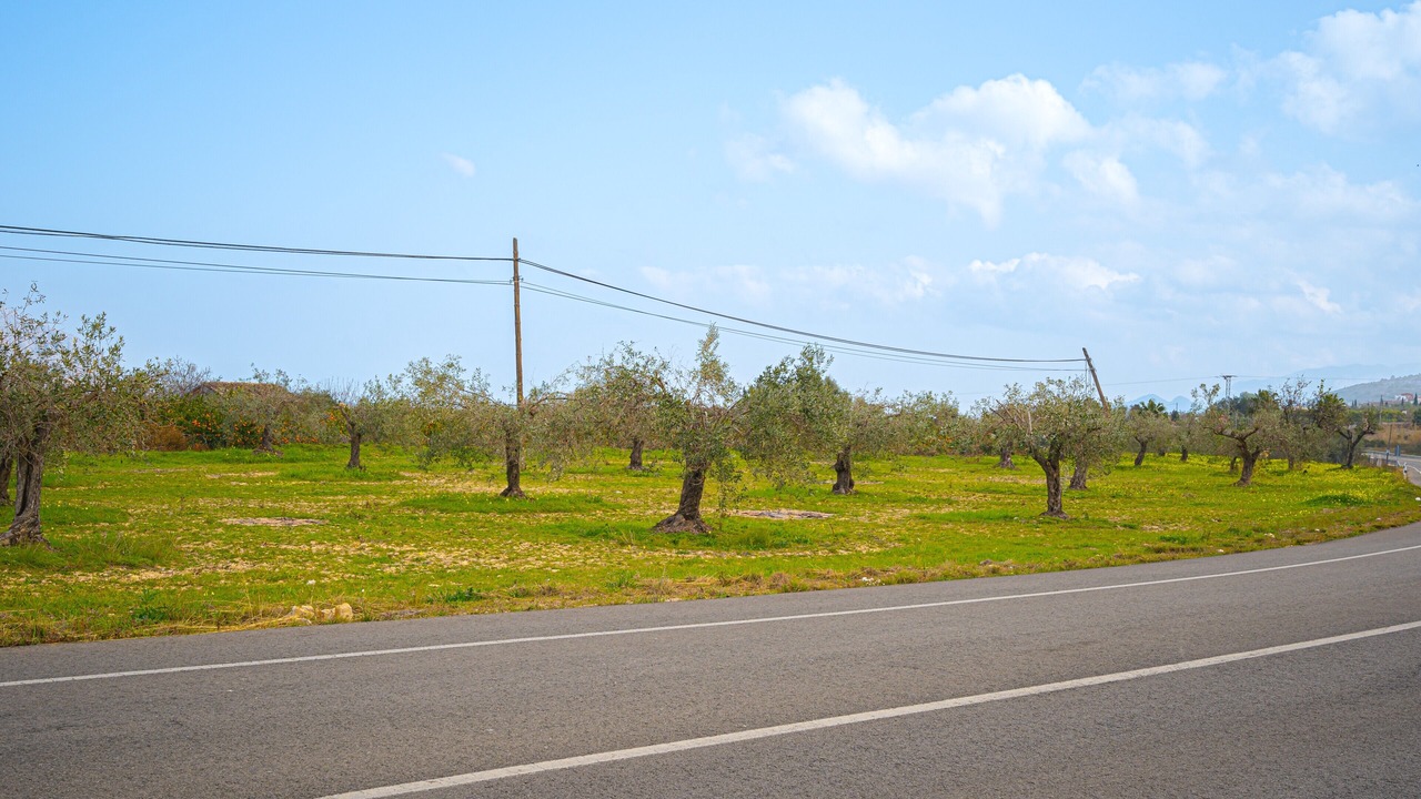 Photo of Others in Orba
