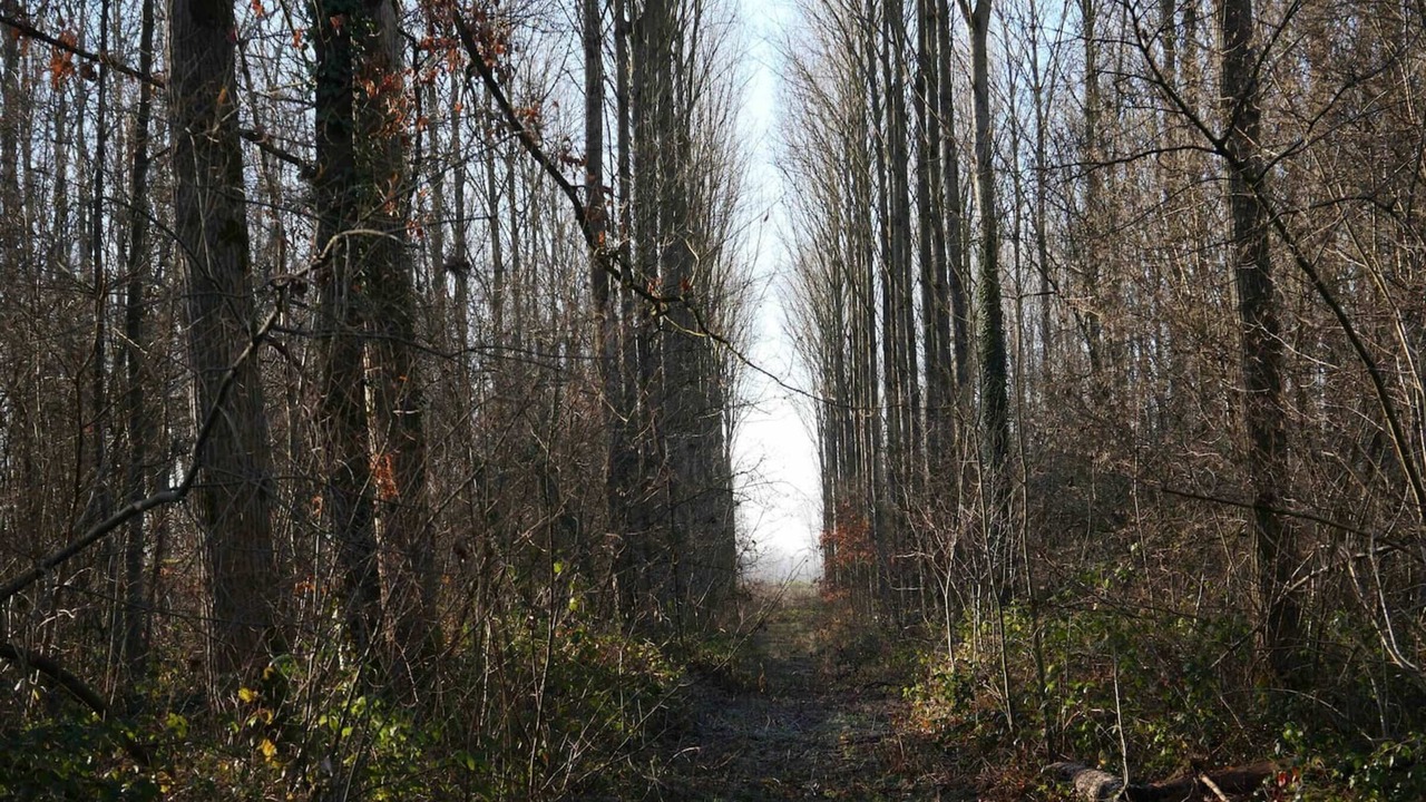 Photo of Outdoor in Flines-les-Mortagne