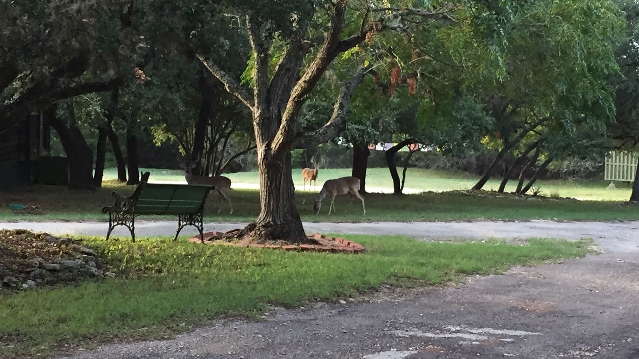 Photo of Outdoor in Far North Central