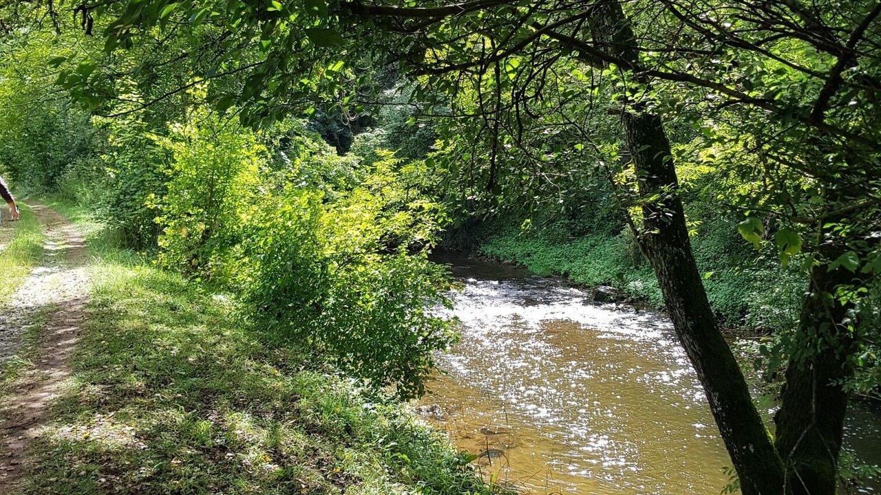 Photo of Outdoor in Grand-Vabre