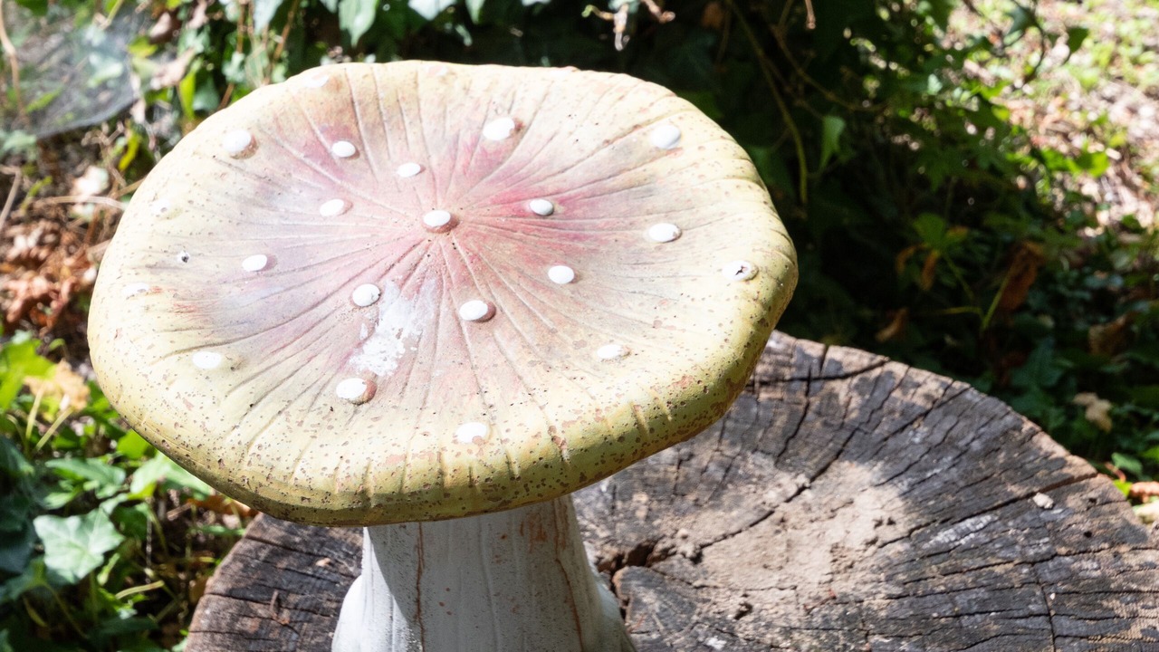 Photo of Outdoor in Bar-sur-Aube