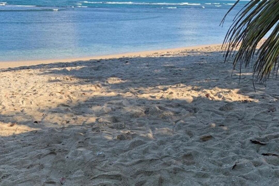 Photo of Others in Costambar