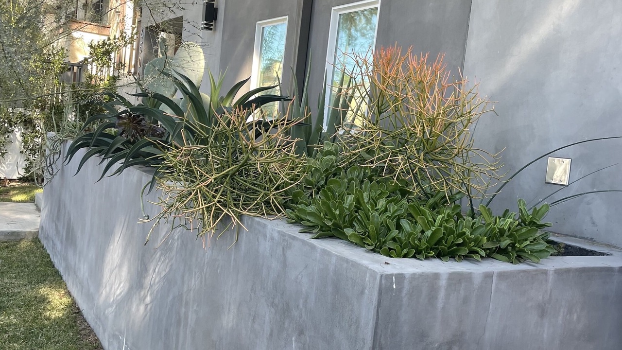 Photo of Outdoor in Sherman Oaks