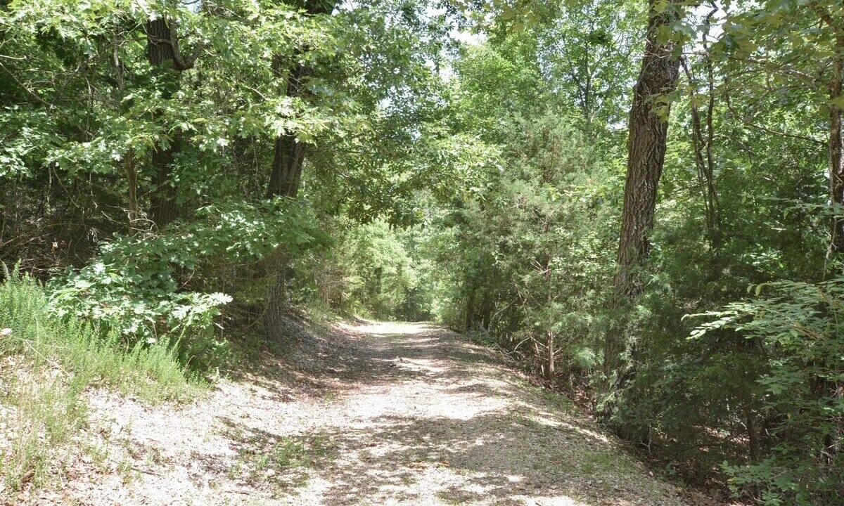 Photo of Others in Notch Estates