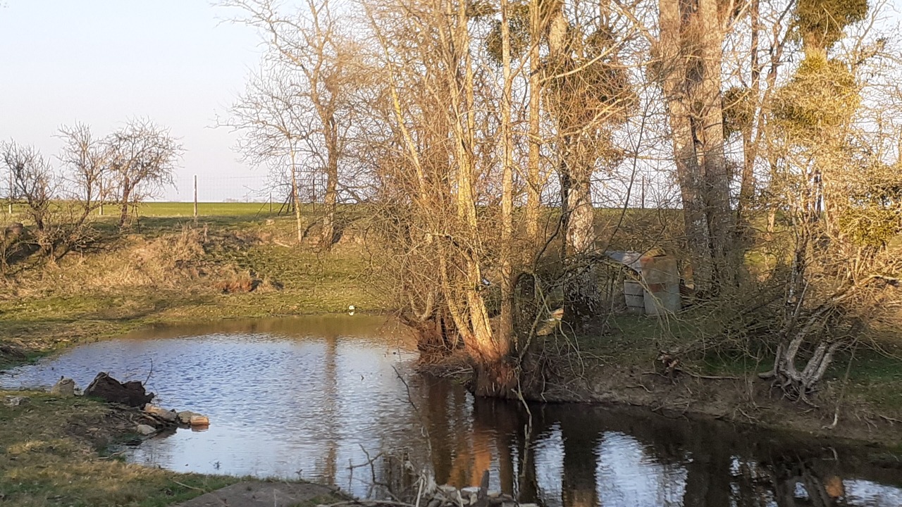 Photo of Others in Oucques