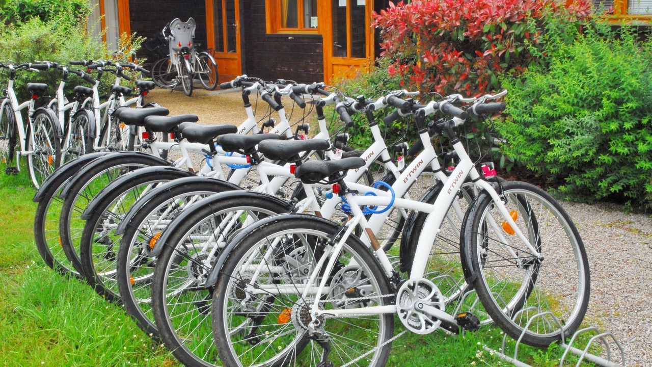 Photo of Outdoor in Chamberet