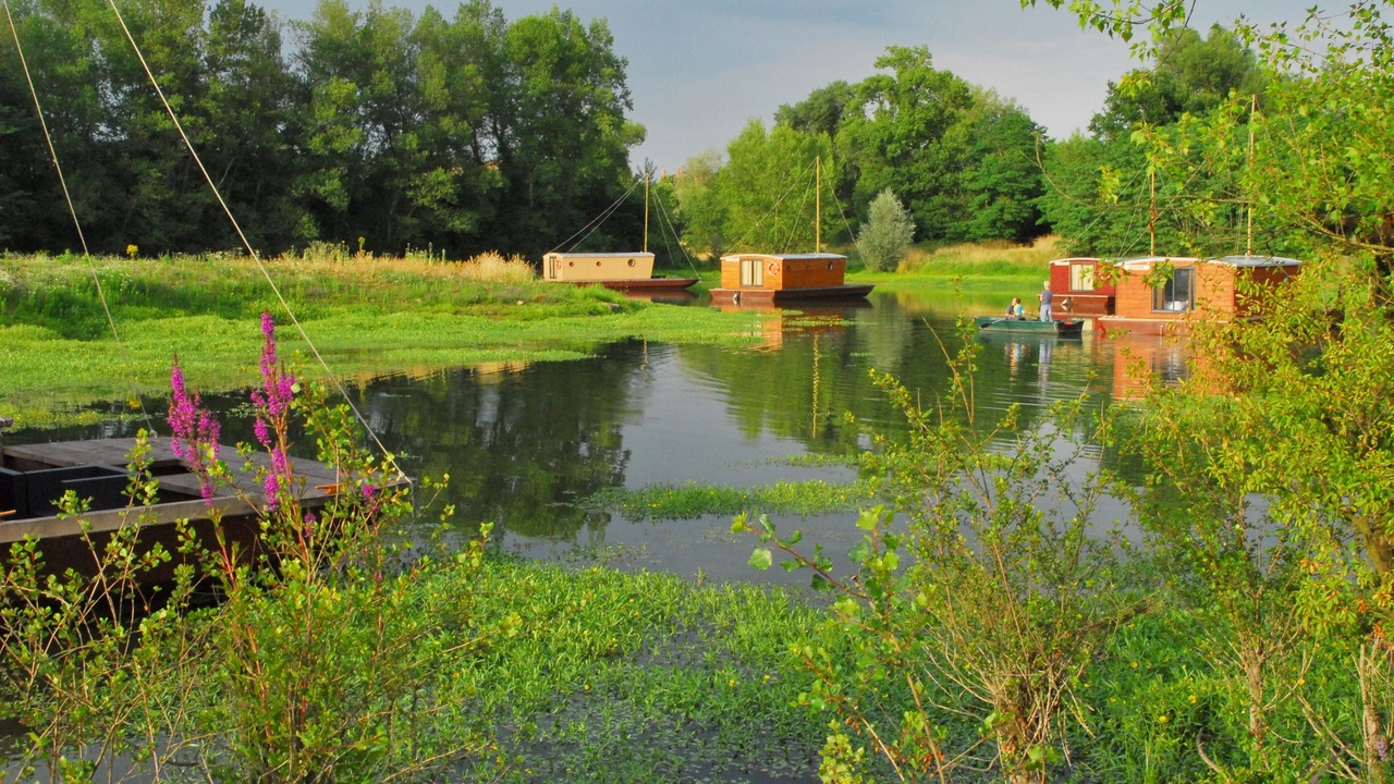 Photo of Outdoor in Chassenard