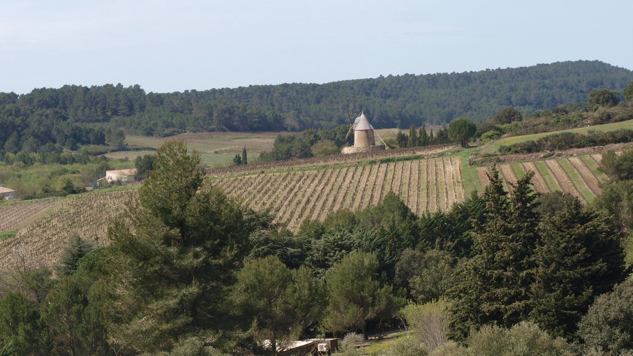 Photo of Outdoor in Villeneuve-Minervois