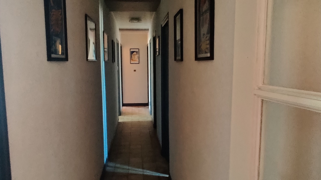 Photo of Others in Thevet-Saint-Julien