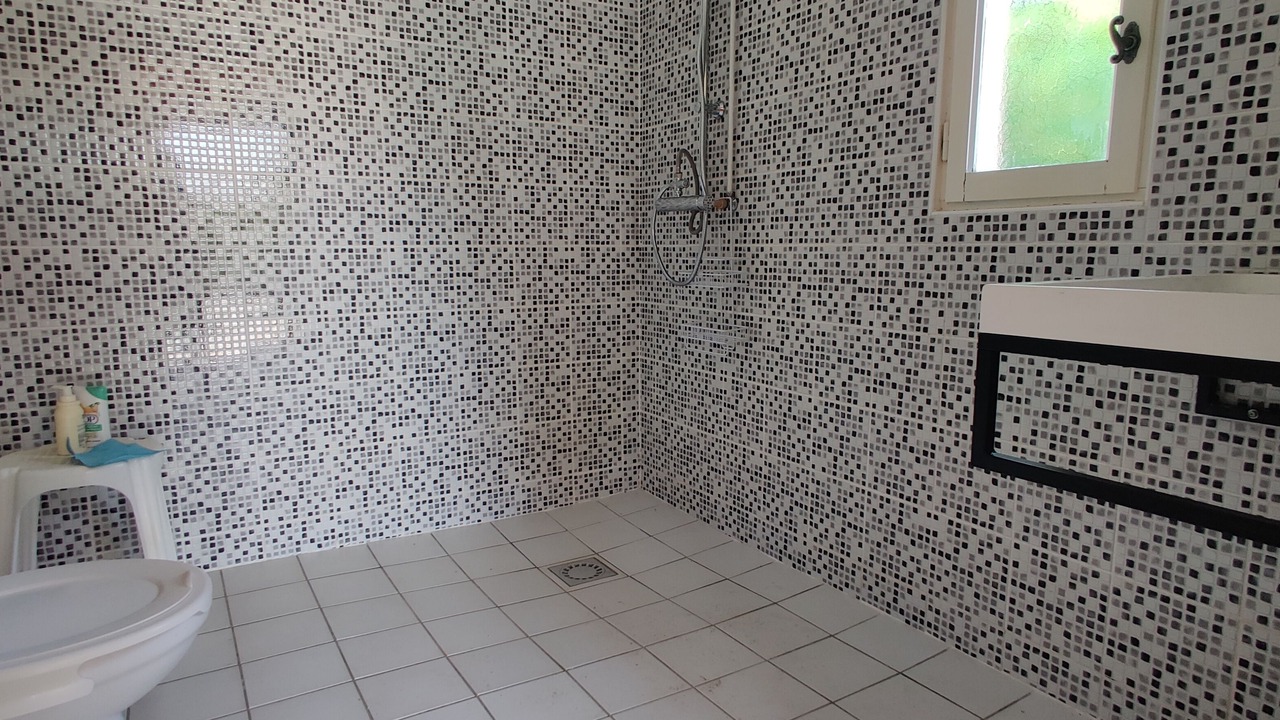 Photo of Bathroom in Thevet-Saint-Julien
