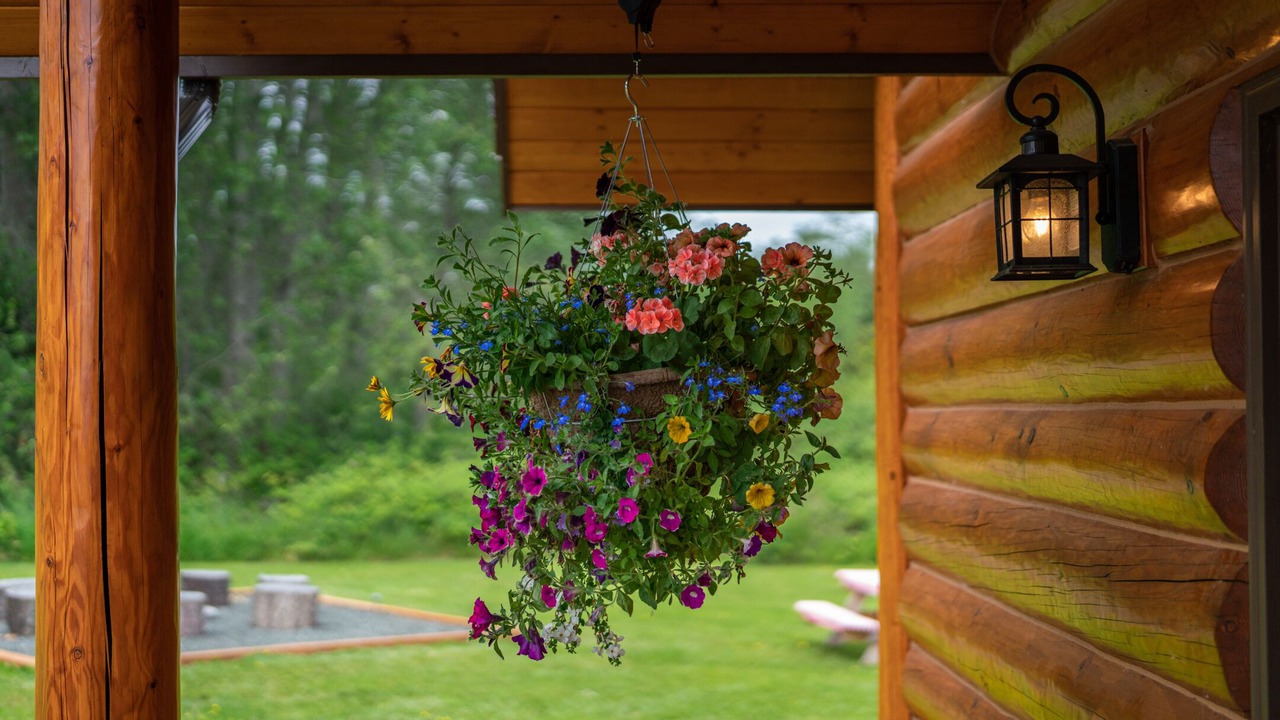 Photo of Outdoor in Sequim