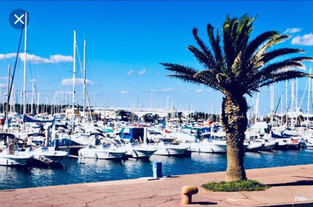 Photo of Others in Le Port