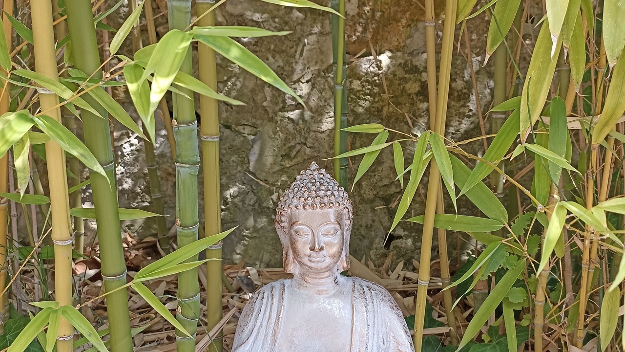 Photo of Outdoor in Tourrettes-sur-Loup