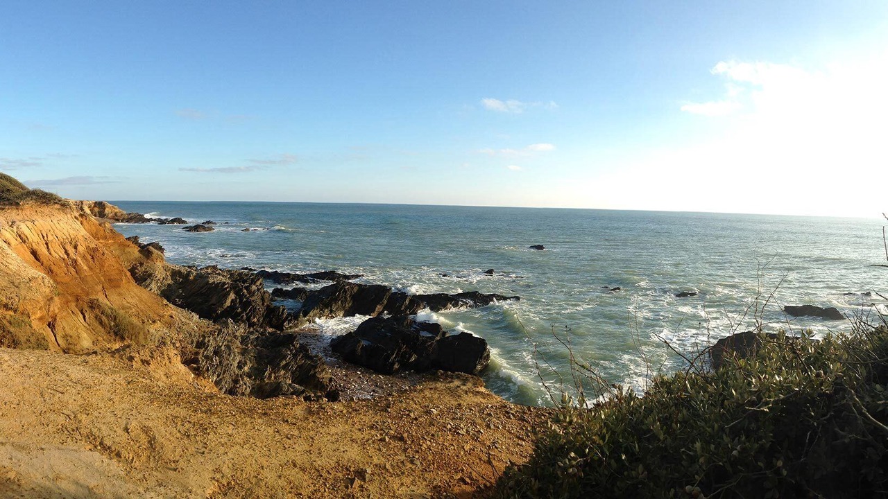 Photo of Others in Jard-sur-Mer
