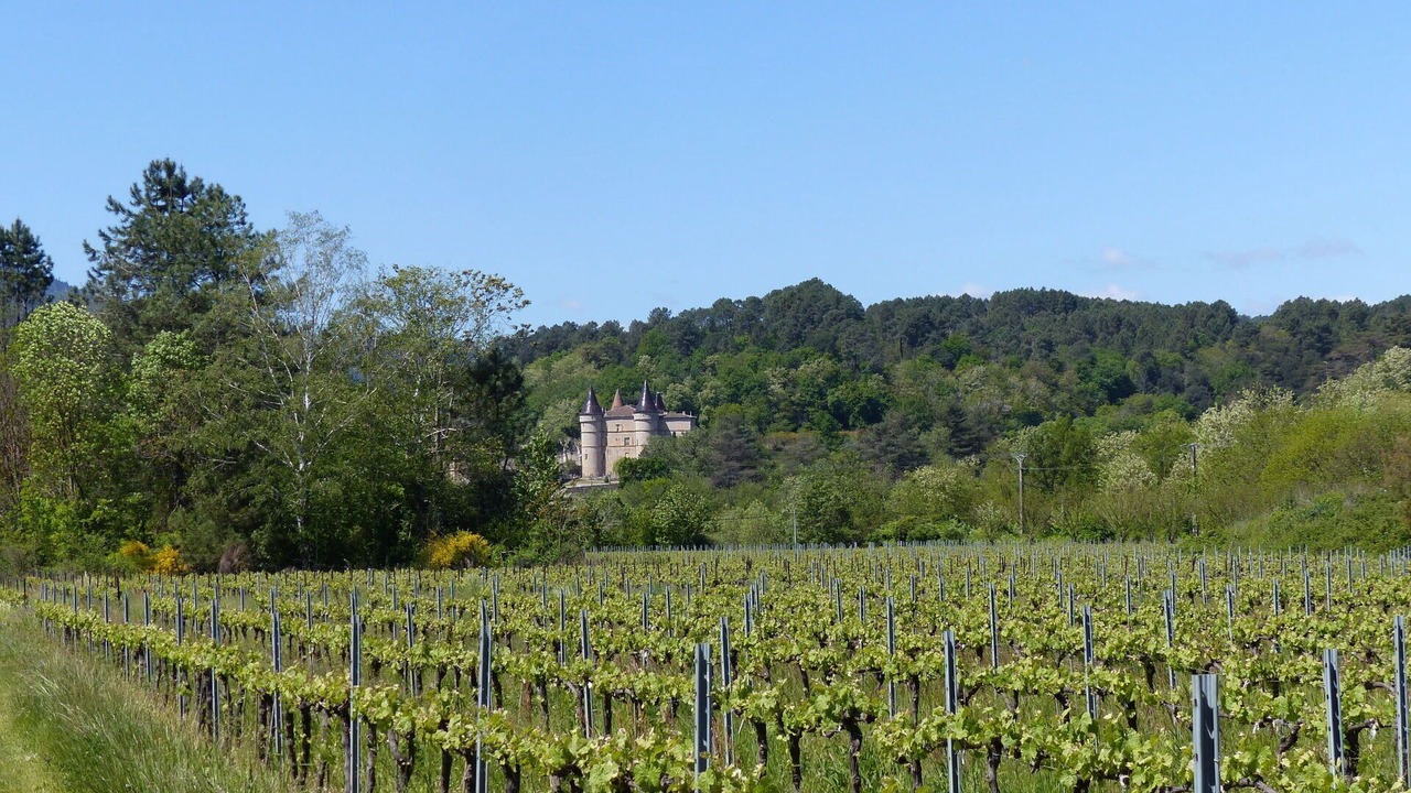Photo of Outdoor in Chambonas