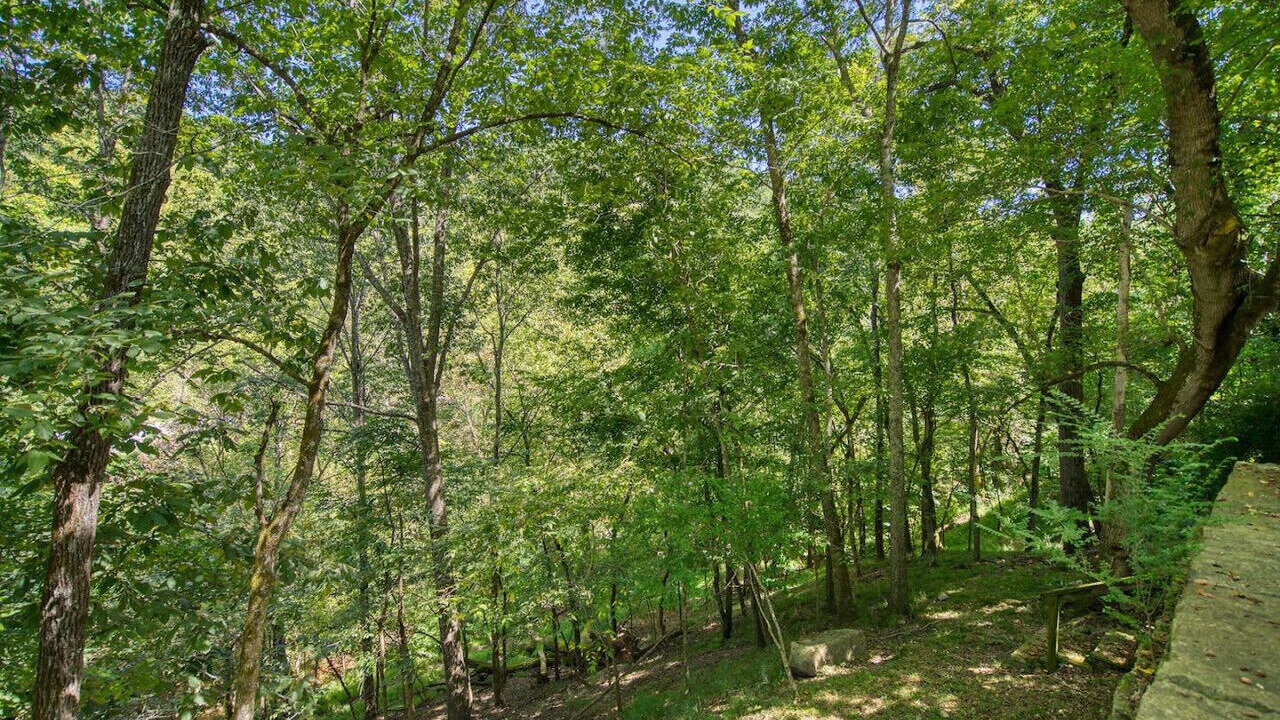 Photo of Outdoor in Eureka Springs Historic District