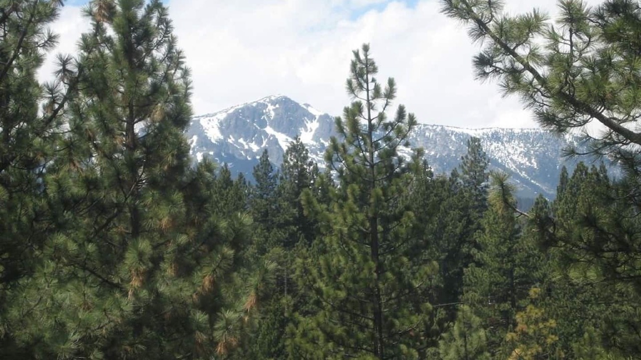Photo of Outdoor in Montgomery Estates