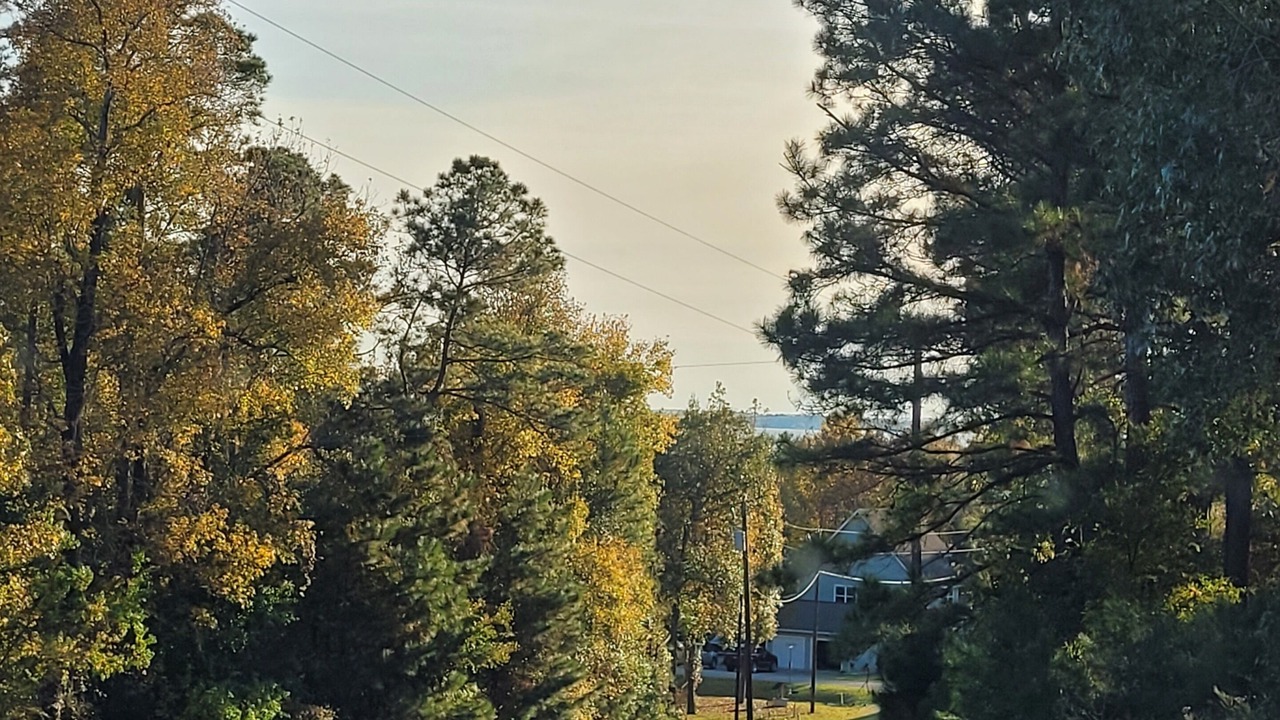 Photo of Outdoor in Livingston