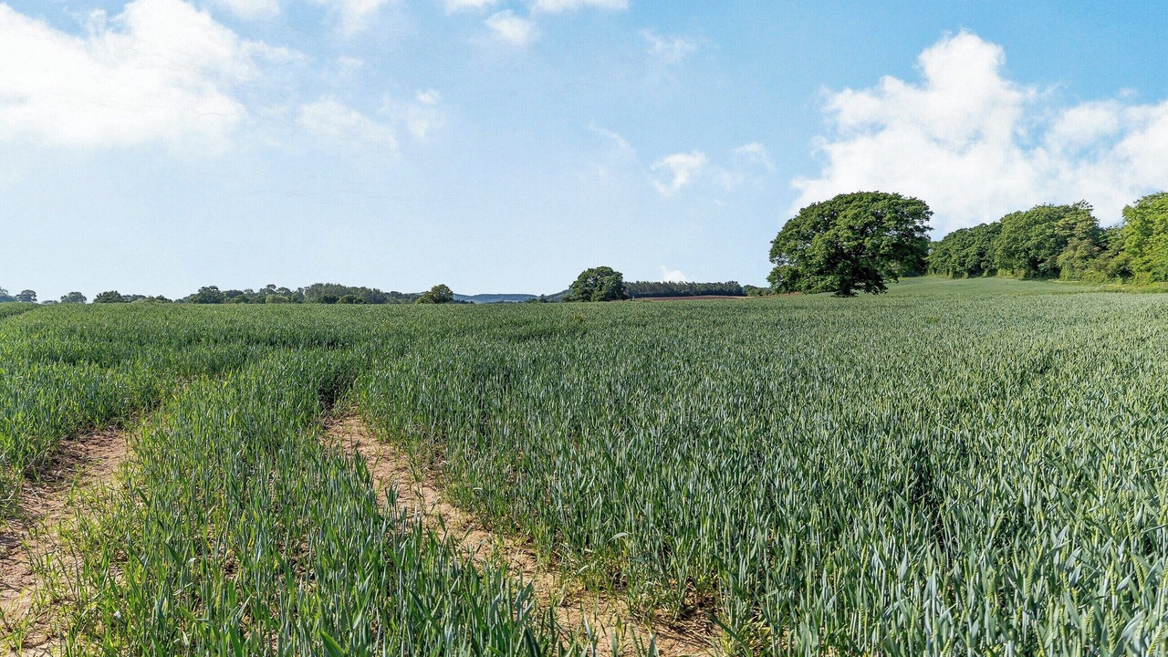 Photo of Others in Little Cowarne