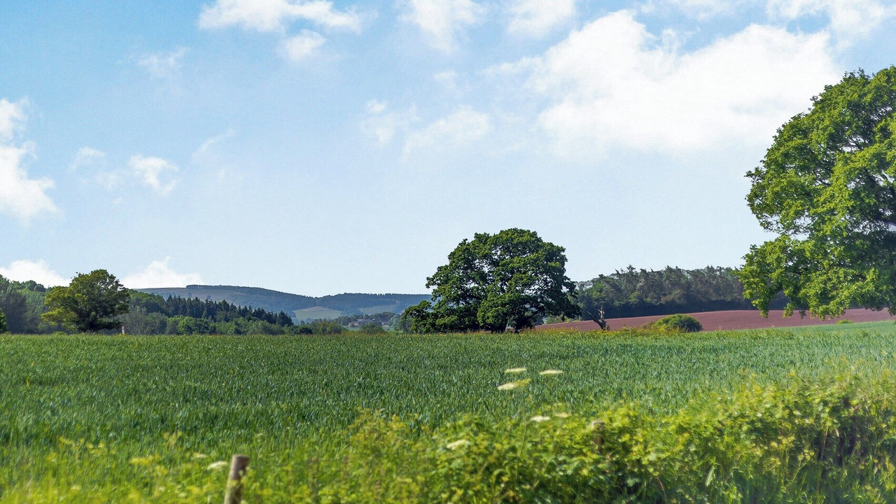 Photo of Others in Little Cowarne