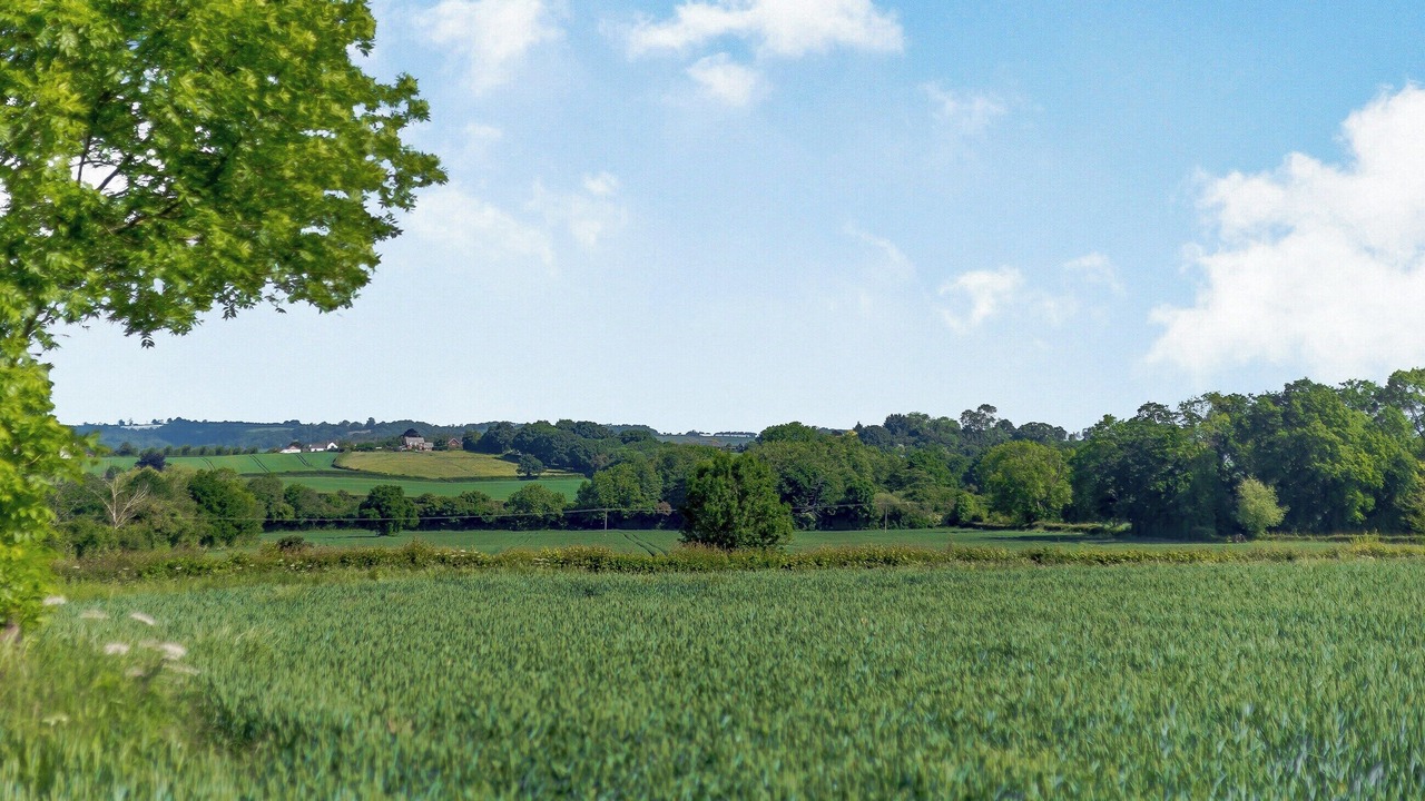 Photo of Others in Little Cowarne