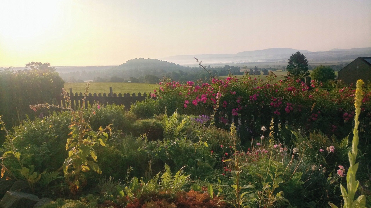 Photo of Outdoor in Gartmore