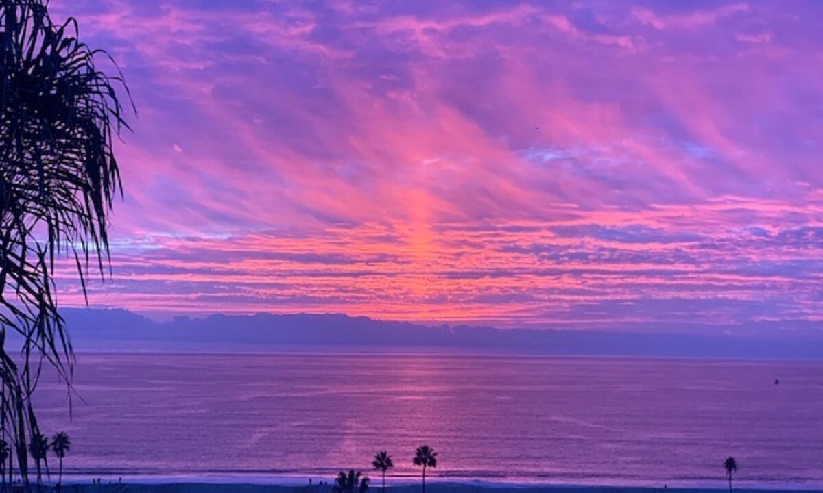 Photo of Others in Playa Del Rey