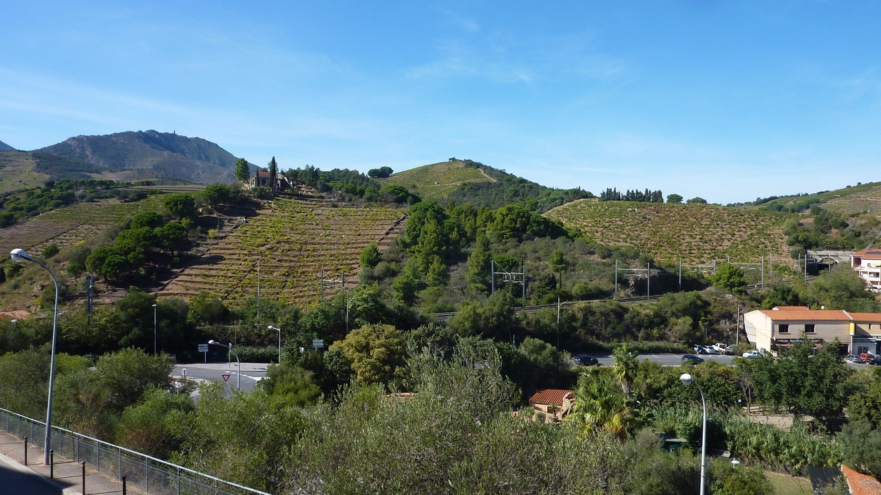 Photo of Others in Banyuls-sur-Mer