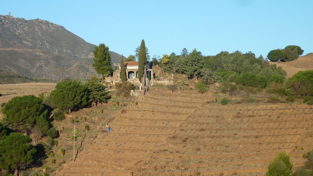 Photo of Outdoor in Banyuls-sur-Mer