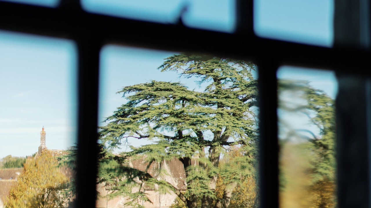 Photo of Others in Wimborne Saint Giles