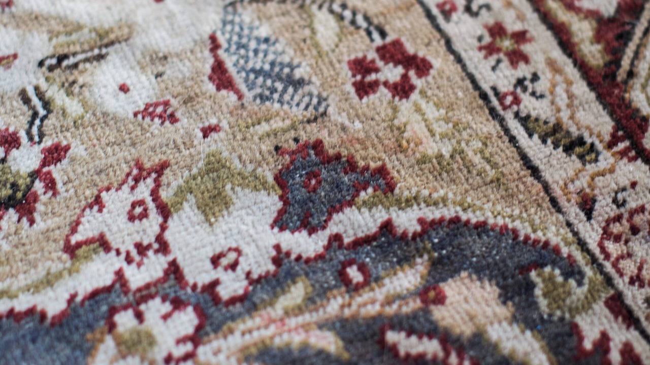 Photo of Others in Wimborne Saint Giles