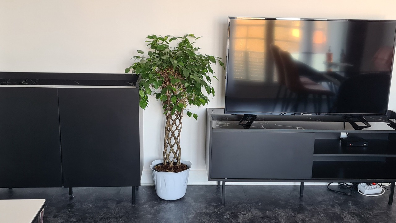 Photo of Others in Noisy-le-Grand