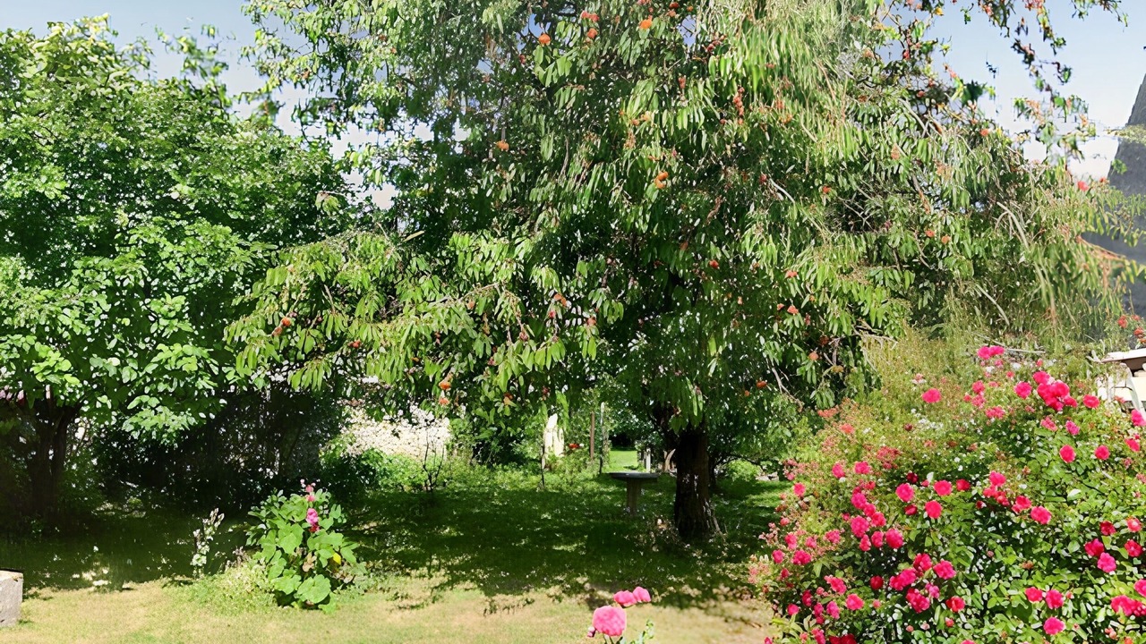 Photo of Outdoor in Montlognon