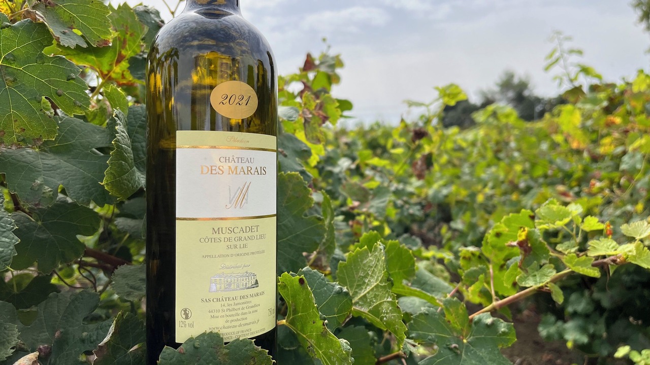 Photo of Others in Saint-Philbert-de-Grand-Lieu