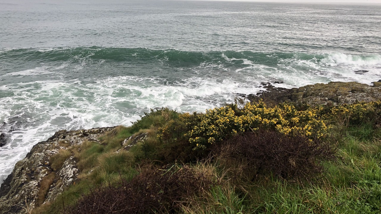 Photo of Others in Kerherou