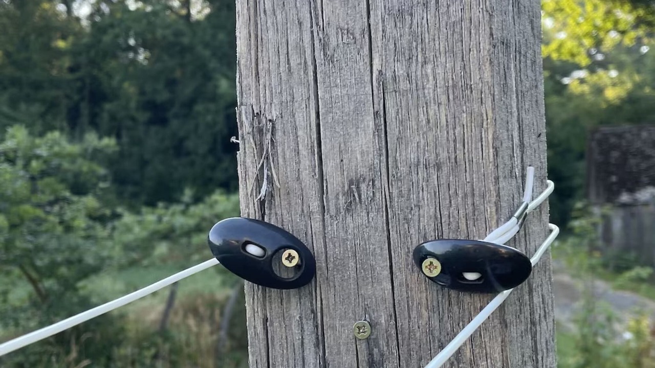 Photo of Others in Darazac