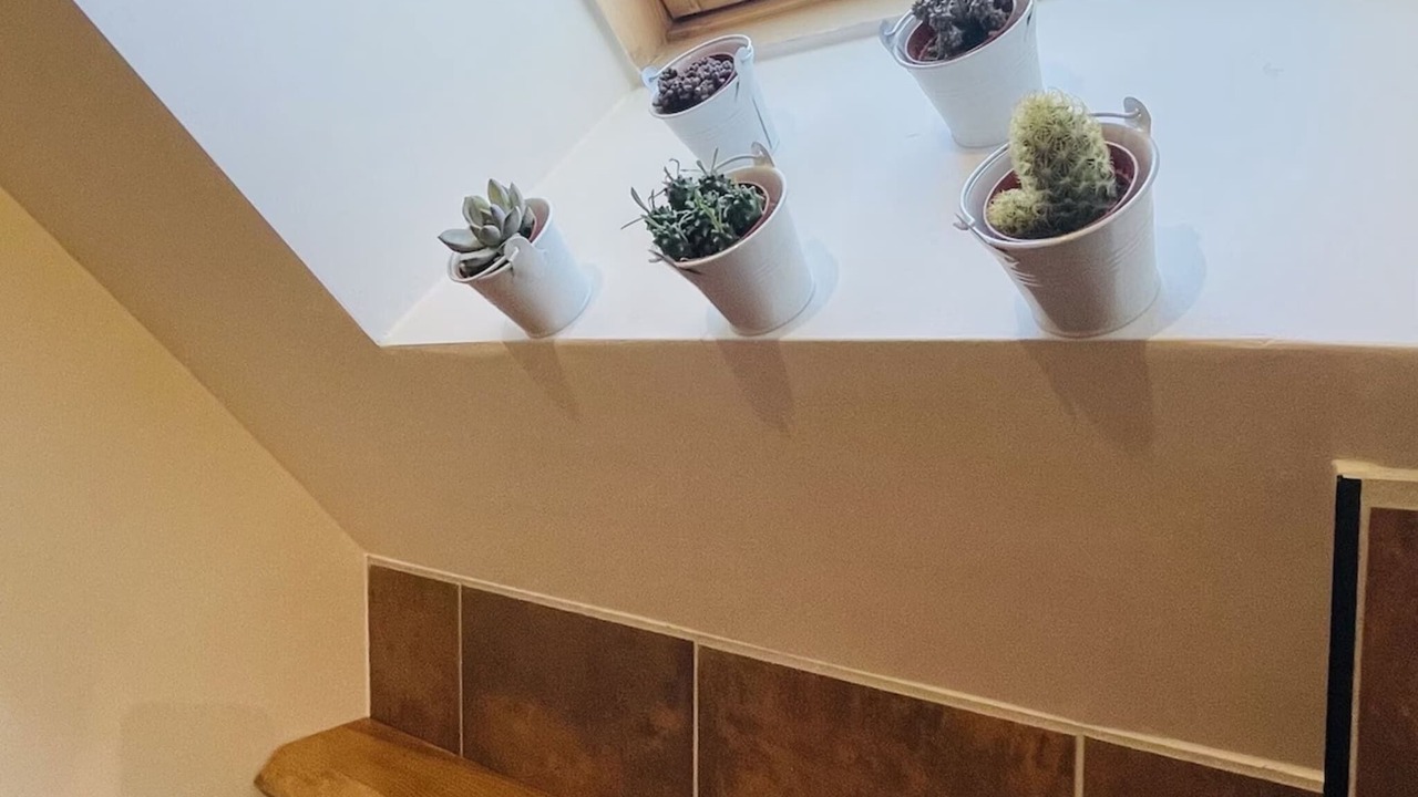 Photo of Others in Darazac