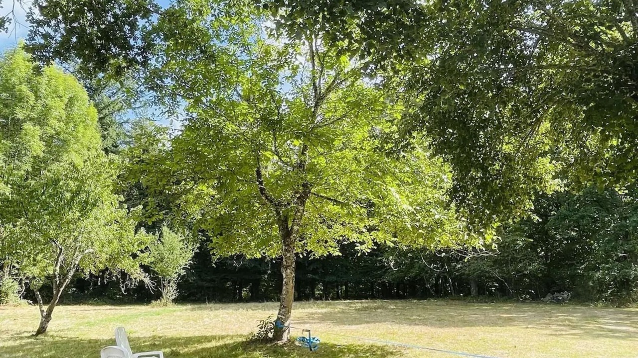 Photo of Outdoor in Darazac