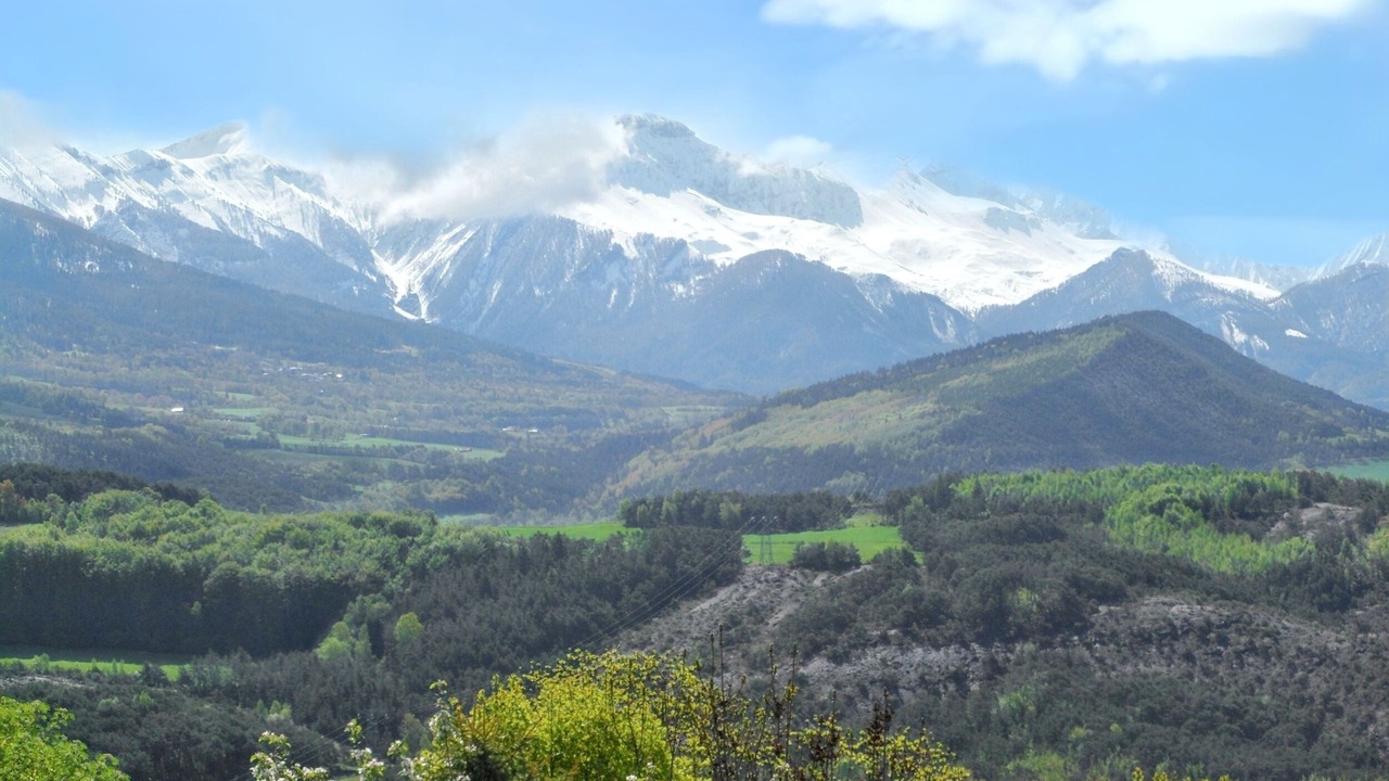 Photo of Others in Selonnet