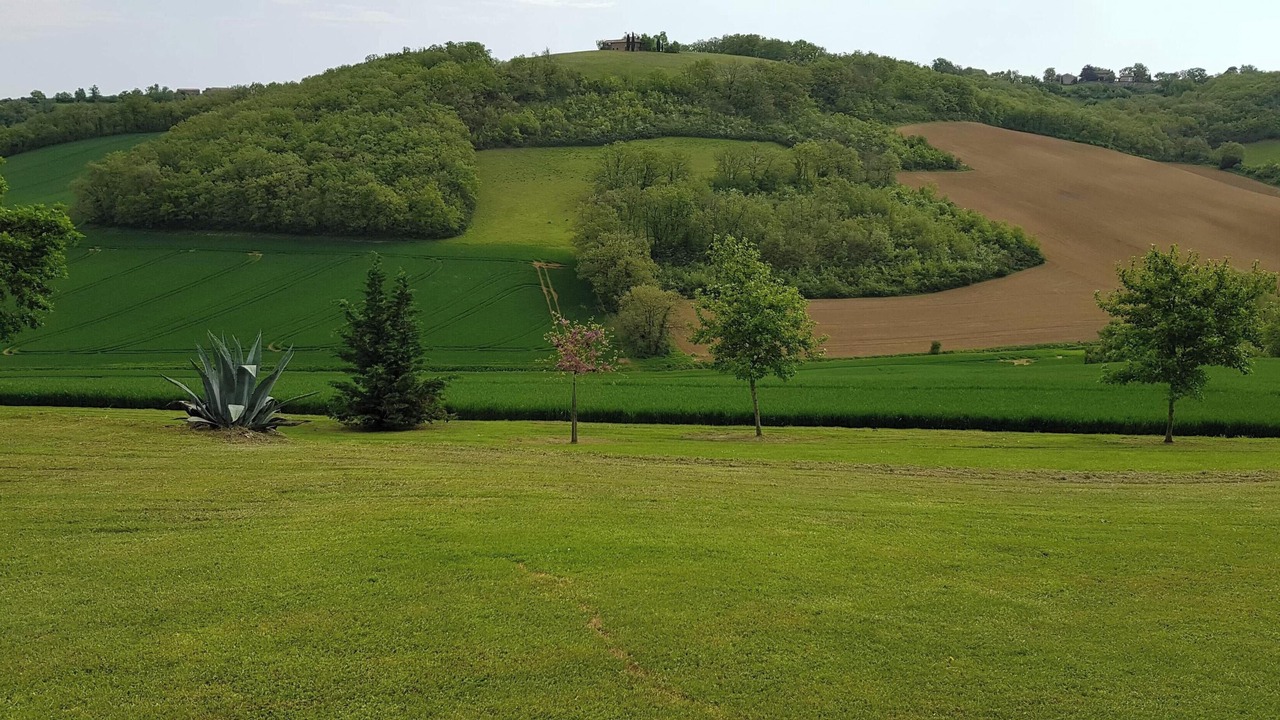 Photo of Outdoor in Martisserre