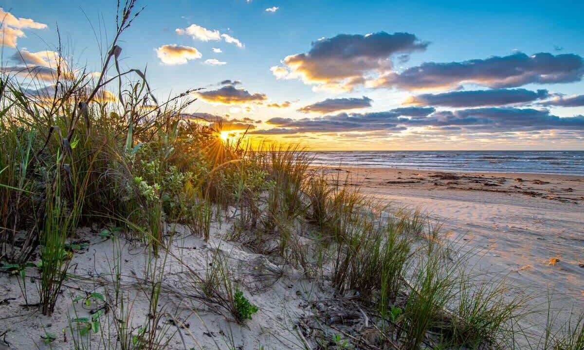 Photo of Others in South Side