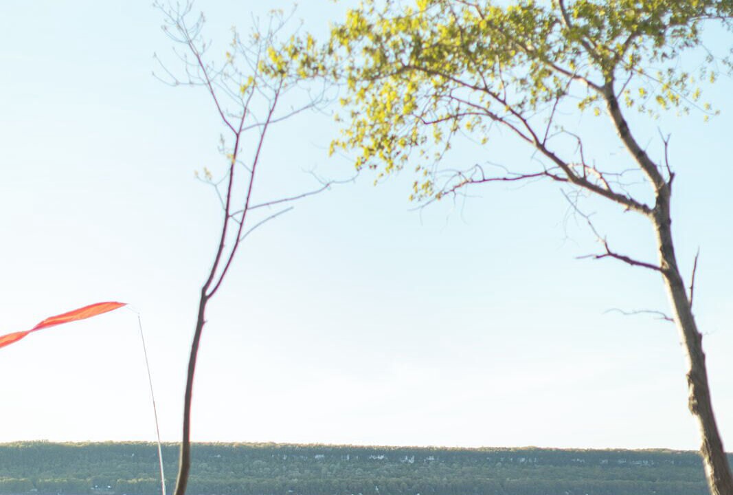 Photo of Others in Colpoys Bay