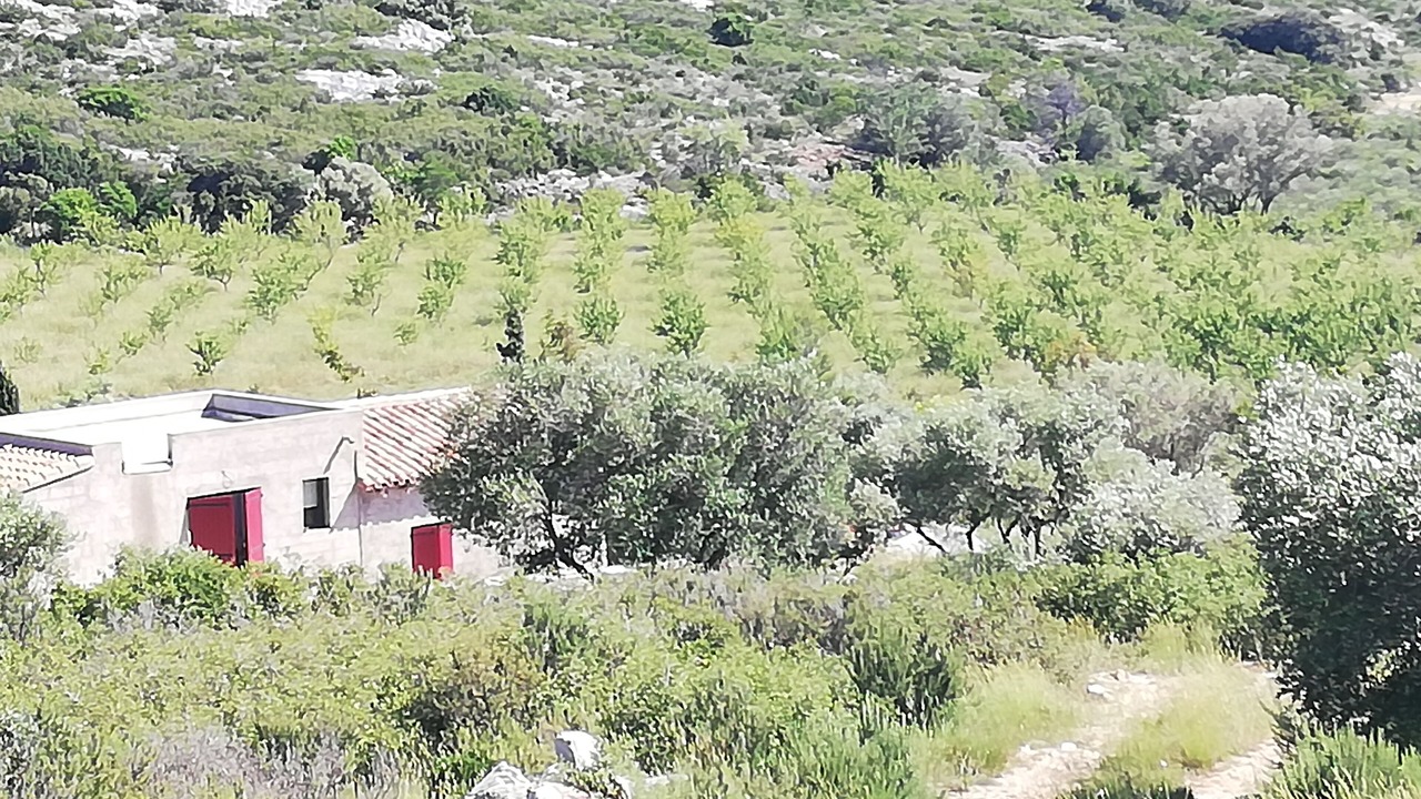 Photo of Outdoor in Opoul-Perillos