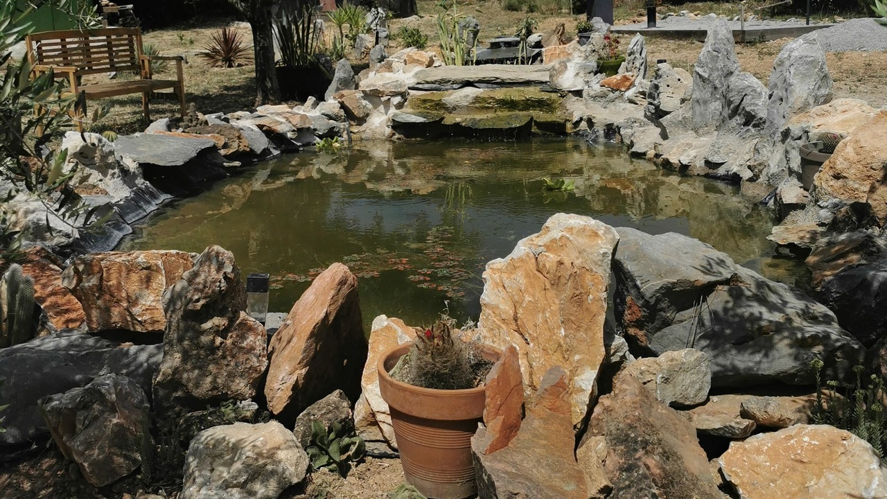 Photo of Outdoor in Opoul-Perillos