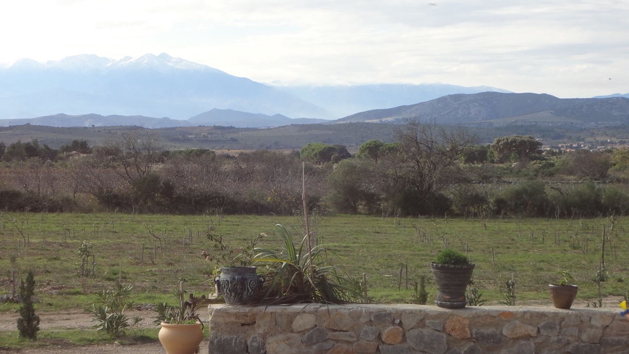 Photo of Outdoor in Opoul-Perillos