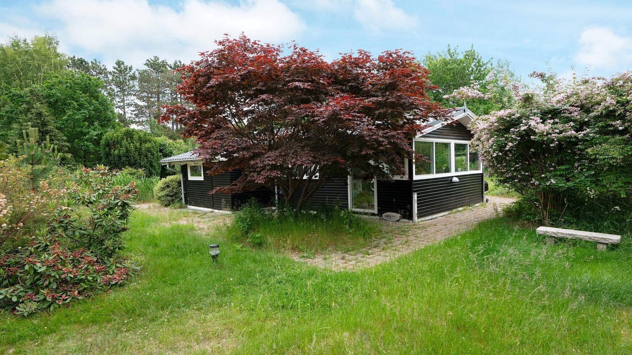 Photo of Others in Hoensinge