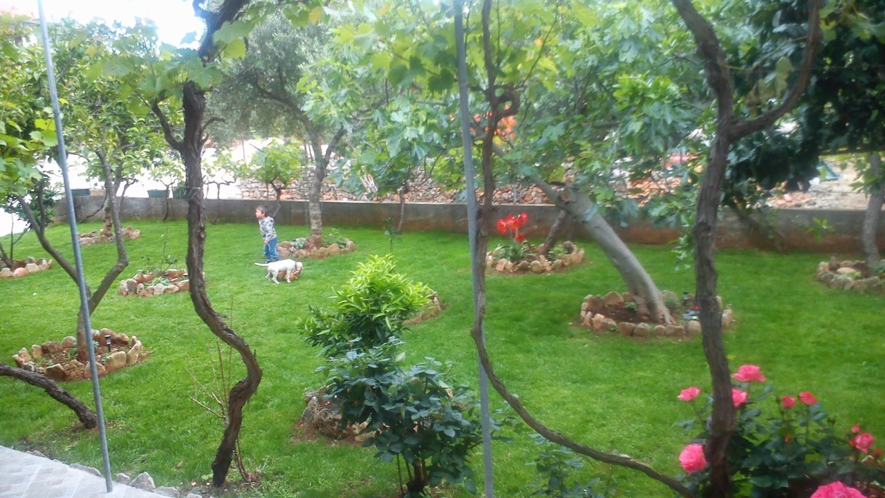 Photo of Outdoor in Sucuraj