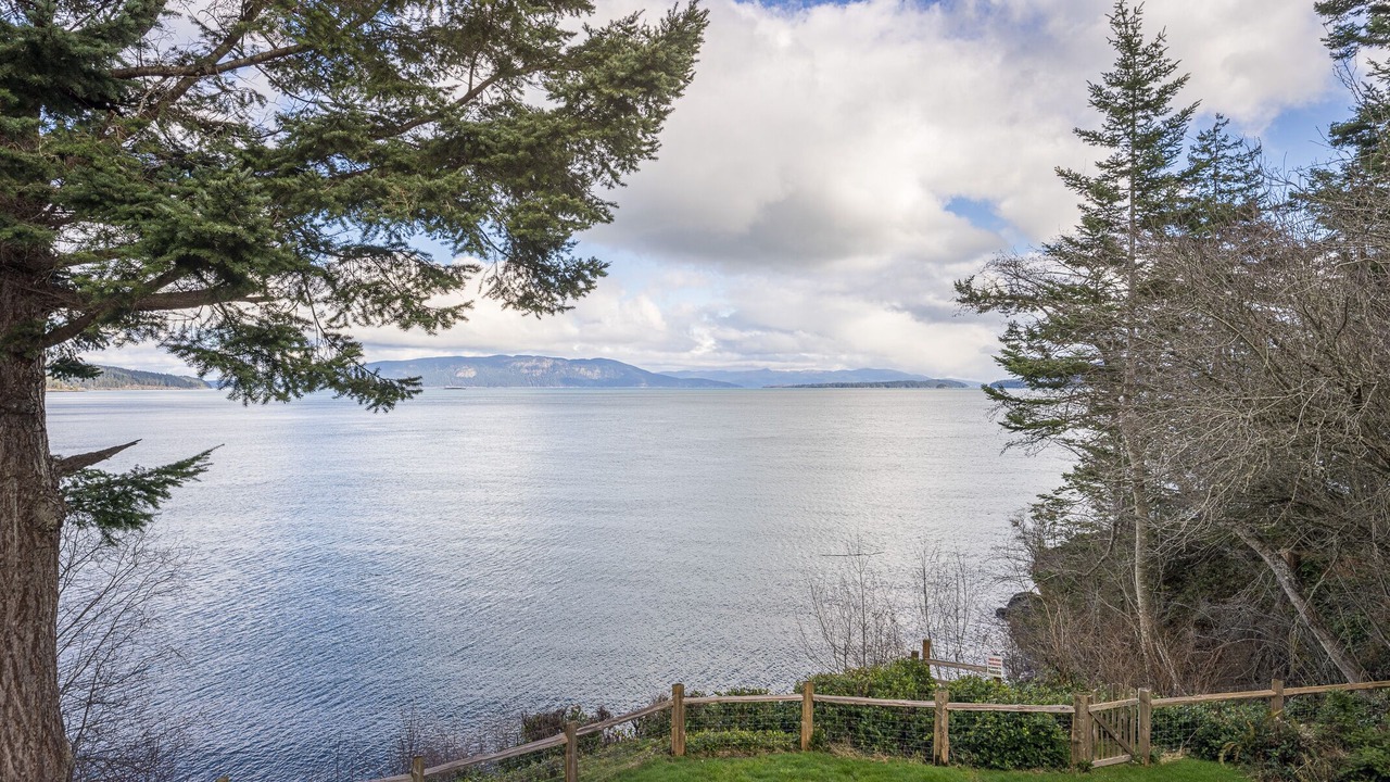 Photo of Others in Olga