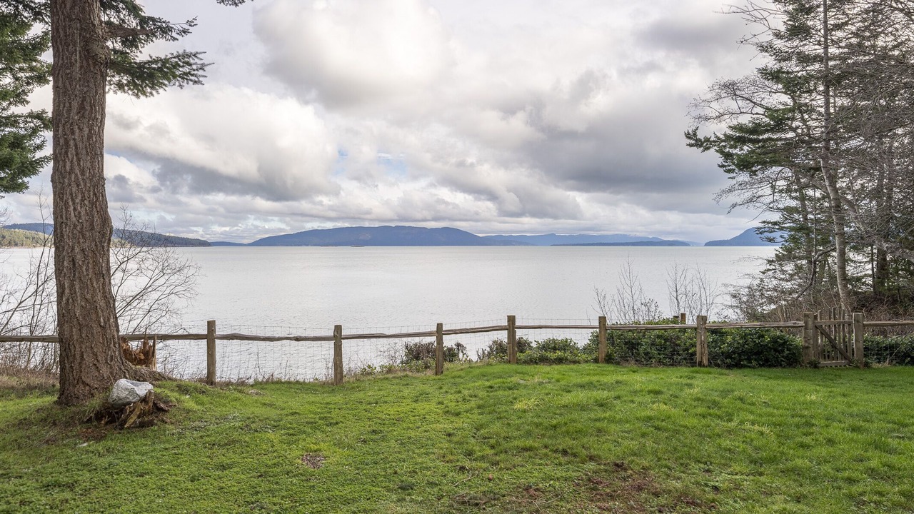 Photo of Others in Olga